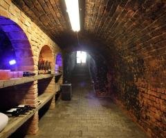 Dom s hospodárskymi budovami, bazénom a vinicou vo Vinici - 8